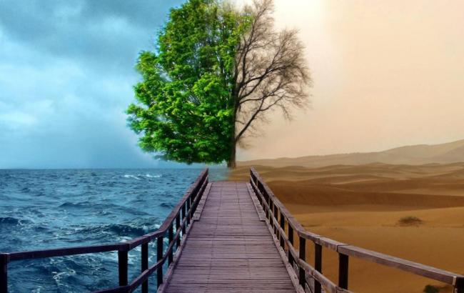 Исследование показало, что к 2050 году климат на Земле резко изменится