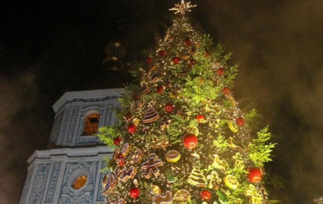 26 метров красоты: выбрана главная елка Украины