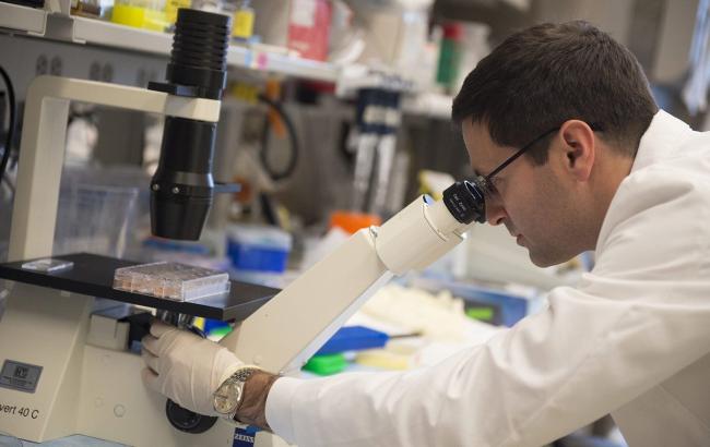 В США придумали способ, как подавить иммунитет рака