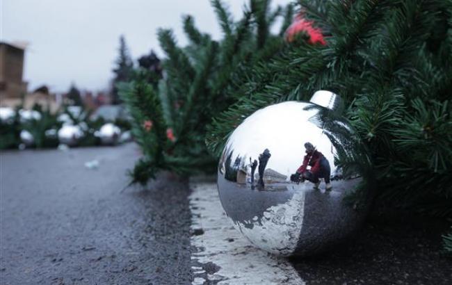 В Одессе за месяц до Нового года выкинули старую елку