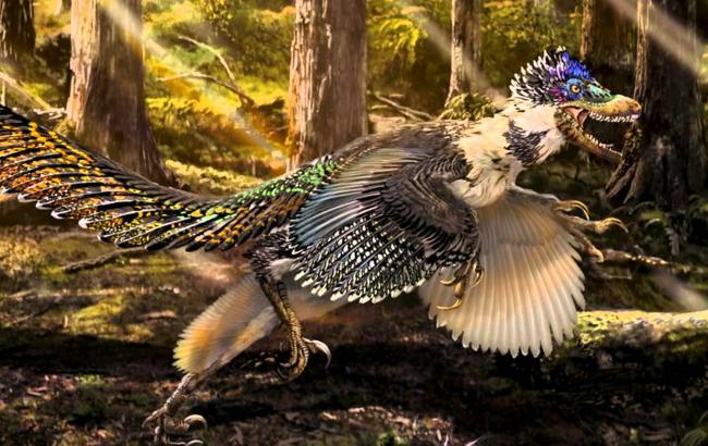 В янтаре нашли останки редкого пернатого динозавра