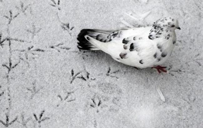 Синоптики розповіли, яку погоду чекати українцям на початку тижня