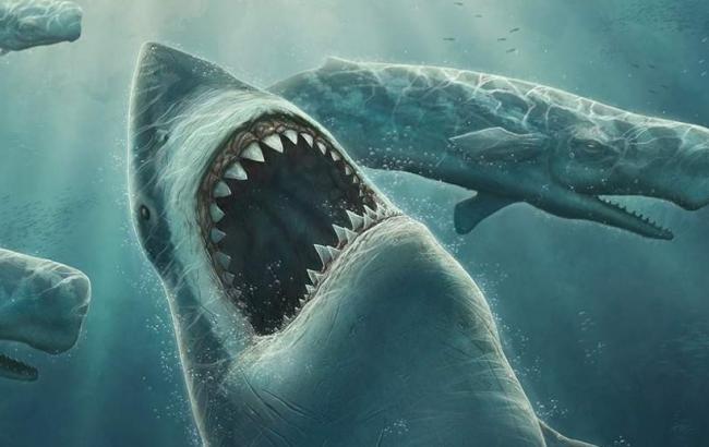 В Мексике раскопали останки гигантской 18-метровой акулы