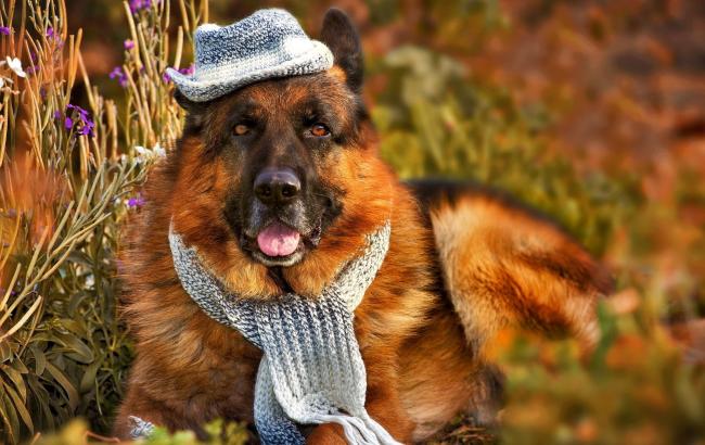 Погода на завтра: на сході України дощі, температура до +21