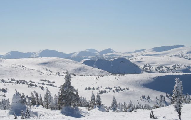 На Закарпатье в горах пропал турист