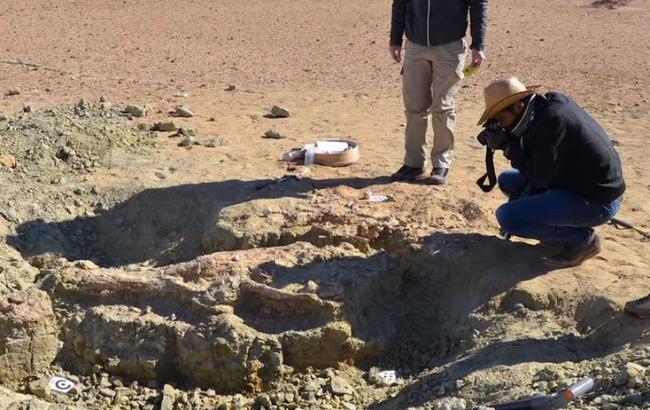 В Китае обнаружили останки крокодилов возрастом более 3 тыс. лет