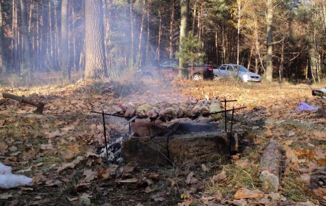 В Киеве будут штрафовать за шашлыки