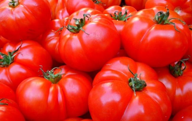 У Криму хочуть забезпечити Росію помідорами