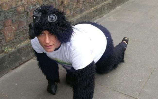 В Лондоне полицейский в костюме гориллы четвертый день преодолевает марафон на четвереньках