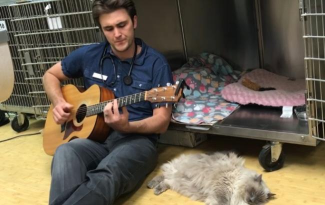 Заботливый ветеринар поет песни для своих подопечных
