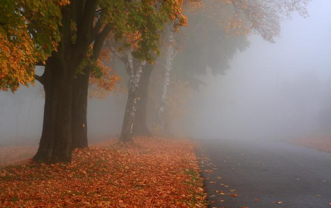 ДСНС попереджує про сильні пориви вітру і тумани в Україні 8 листопада