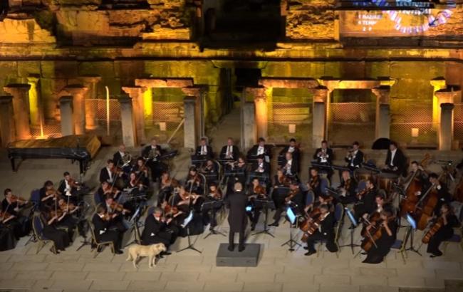 Віденський оркестр відіграв концерт у компанії бездомного собаки