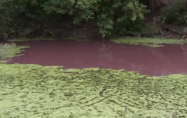 В Сумах местные жители обеспокоены розовой водой в озере