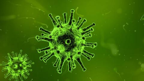 Медики назвали найнебезпечніший вірус на планеті