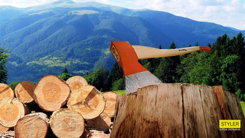 &ldquo;Черные&rdquo; схемы и экологическая катастрофа: Где в Украине уничтожают лес в огромных масштабах