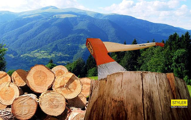 "Чорні" схеми та екологічна катастрофа: Де в Україні знищують ліс у величезних масштабах
