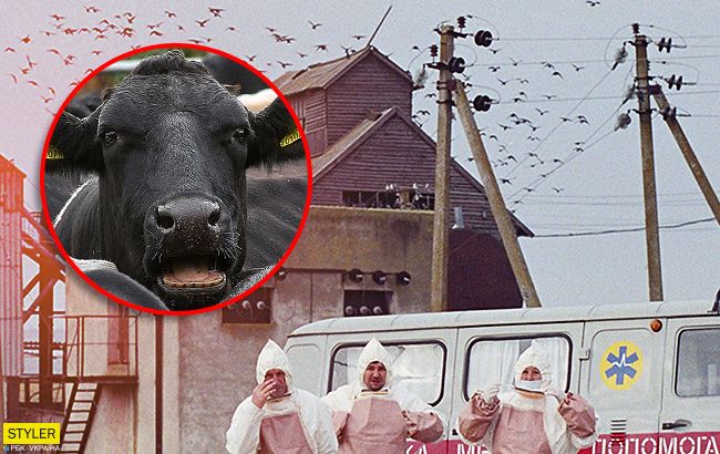 Кошмар: свалка останков животных под Тернополем шокировала сеть
