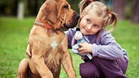 Стало відомо, як впливають домашні тварини на здоров'я дітей