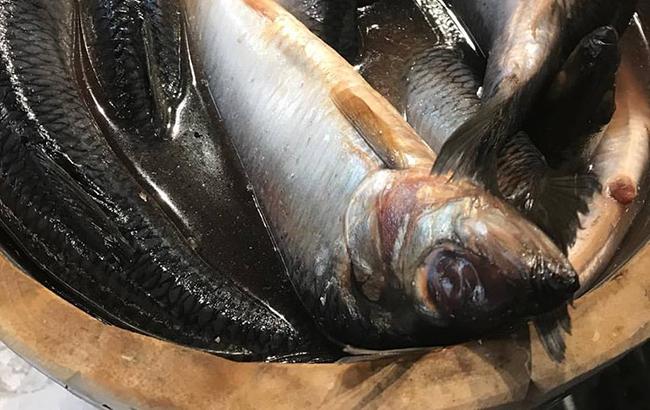 Все с глистами: в Одессе в известном супермаркете продавали тухлую рыбу