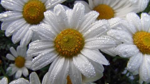 Зливи і град: синоптики дали прогноз на вихідні