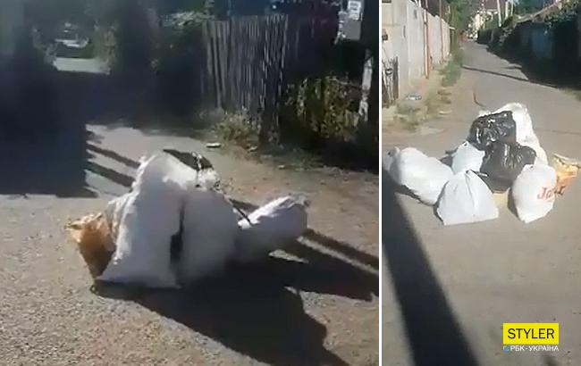 Мусорный бунт под Одессой: эксперты заговорили о "туризме" (видео)