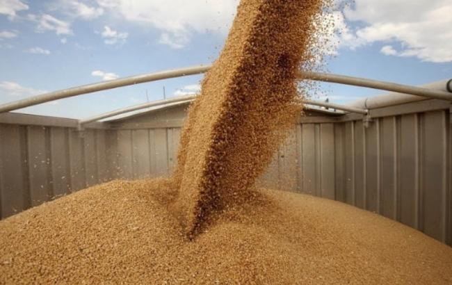 МинАП: в Украине намолочено более 60 млн тонн зерна