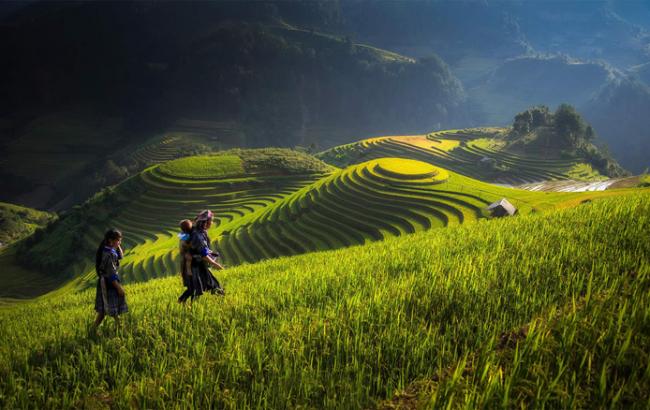 Вьетнам требует от американской компании компенсацию за распыленные в войну гербициды