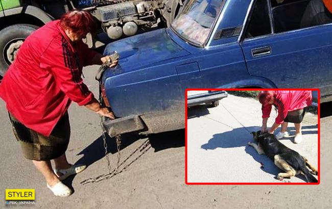 "Твари двуногие": в Киеве женщина зверским образом пыталась избавиться от собаки