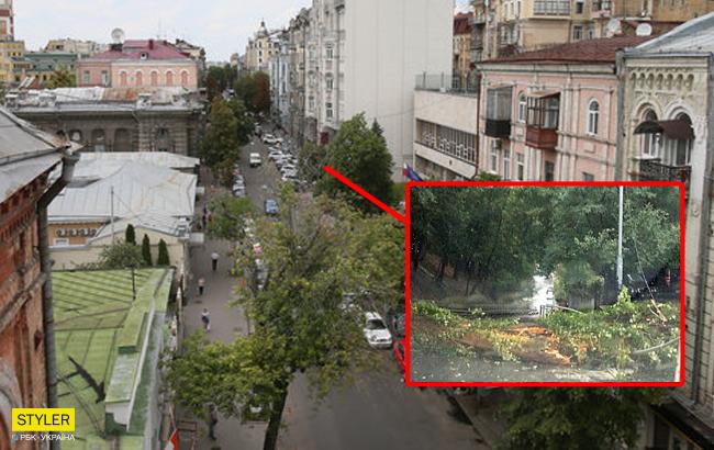 У центрі Києва величезне дерево, що впало, перекрило проїзд (фото)