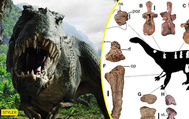 Палеонтологи обнаружили останки нового вида динозавра