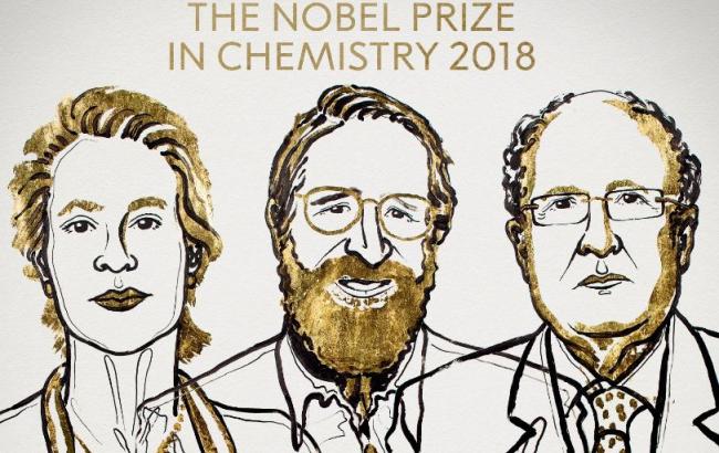 Нобелевскую премию по химии присудили за исследование ферментов и антител