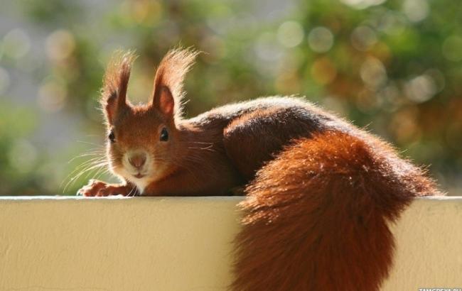 Погода на сегодня: в Украине без осадков, температура до +8