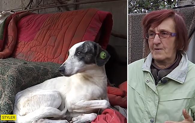 В Ровенской области женщина приютила в своем доме более сотни собак