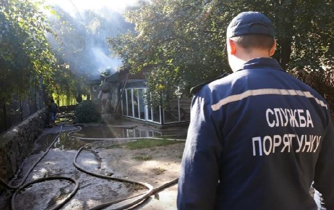 Пожежа у черкаському зоопарку: рятували птахів і мавп (відео)