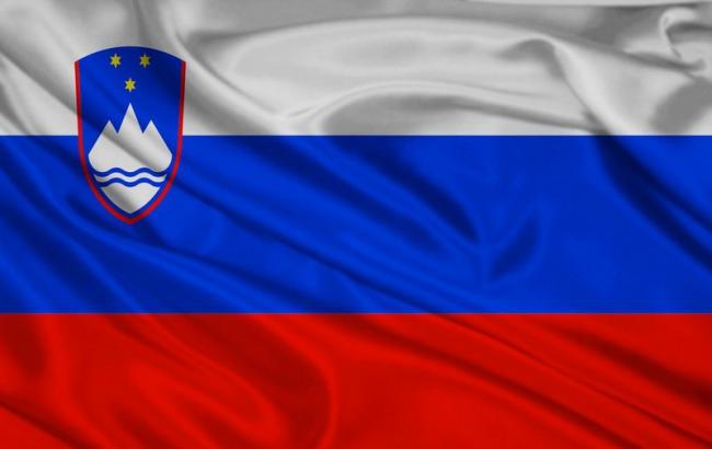 На референдумі в Словенії громадяни проголосували проти одностатевих шлюбів