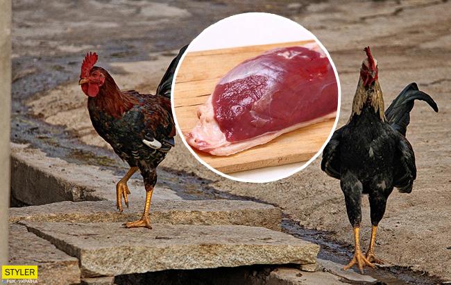 Вбивства тварин можна уникнути: вчені навчилися вирощувати синтетичне м'ясо