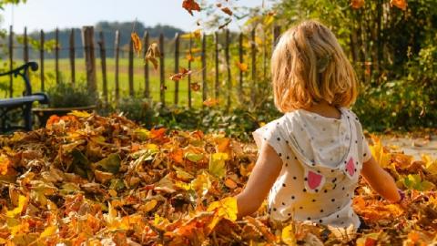 Прогноз погоди на 18 жовтня: чого чекати українцям