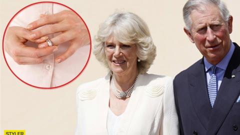 Святковий подарунок: дружина принца Чарльза вимагає розлучення напередодні дня його народження