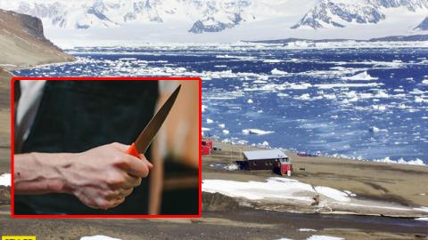 В Антарктиді на російській науковій станції сталася різанина