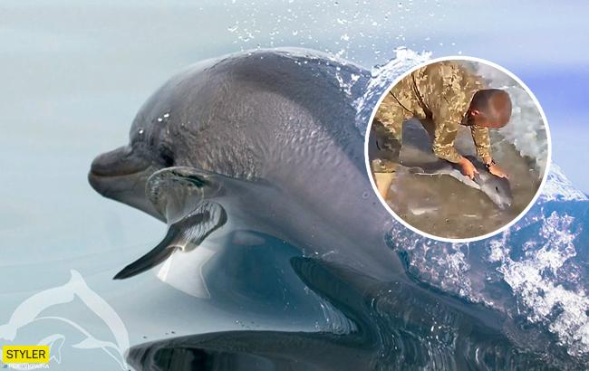 "Плыви-плыви, манюня!": сеть растрогало видео, как украинский военный спас дельфиненка