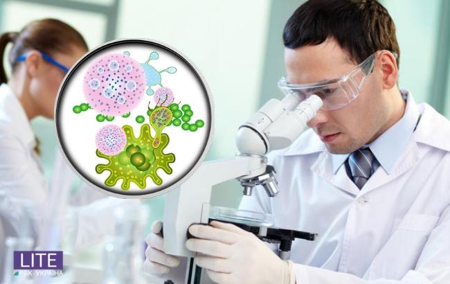 Важливе відкриття: вчені виявили бактерії в несподіваному органі