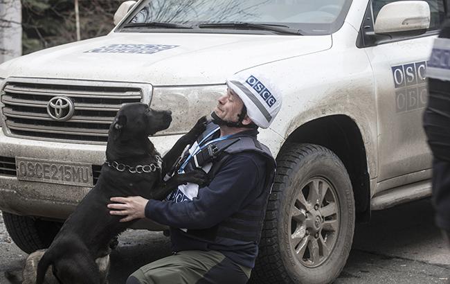 В ОБСЕ рассказали, когда смогут осуществлять мониторинг ситуации в аннексированном Крыму