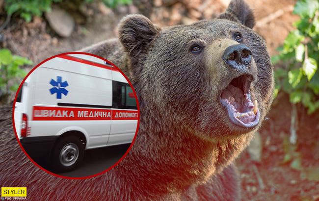 В Харьковской области медведь набросился на работницу базы отдыха