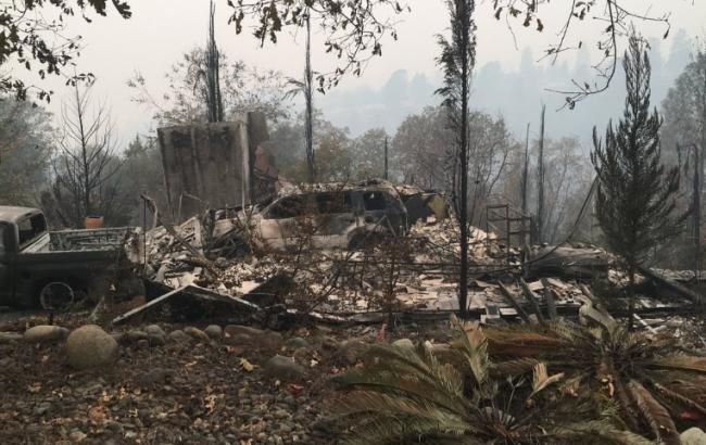 Число жертв пожаров в Калифорнии достигло 86