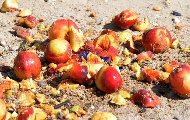 У Росії бульдозер розчавив рекордні 178 тонн "санкционных" яблук