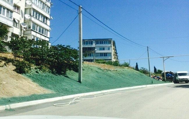 Медведева в Крыму встречали крашеной под зеленую траву землей