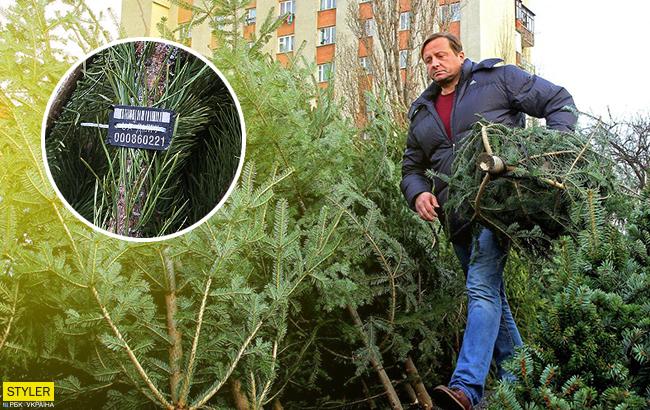 В Киеве будут продавать елки с чипами и штрих-кодами: перечень адресов