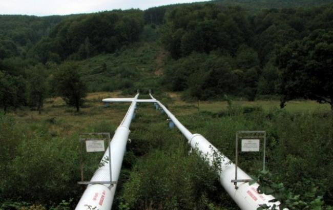 Утечка нефти на Закарпатье произошла из-за злонамеренного вмешательства в работу нефтепровода
