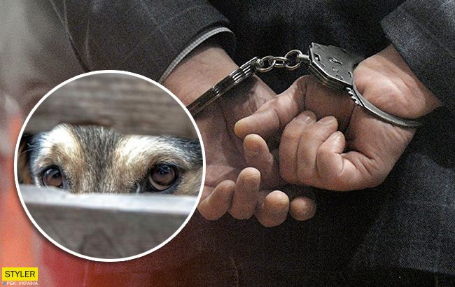 Повесил на веревку и прогулялся по селу: садисту грозит серьезный срок за убийство собаки