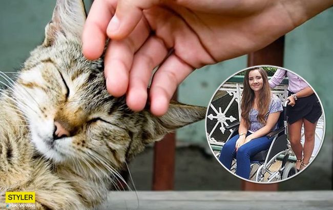 Известную блогершу парализовало после того, как она погладила бездомную кошку